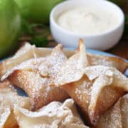 A light blue plate with a half a dozen fried wontons with powdered sugar on them.