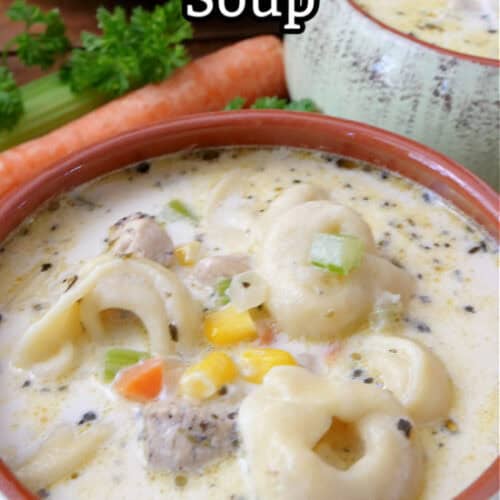 A close up of a soup bowl filled with a serving of chicken tortellini soup.
