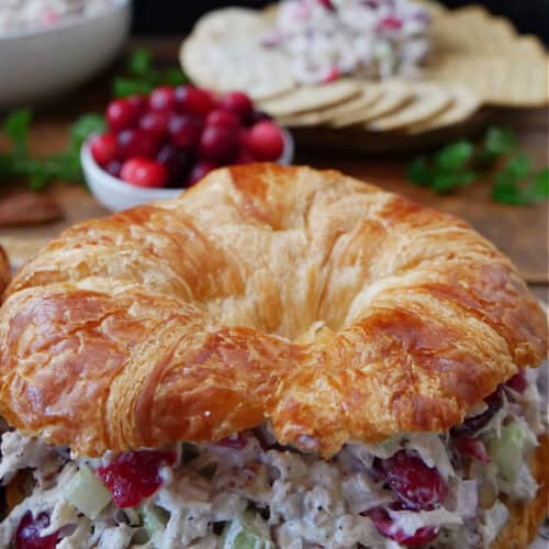 A round crescent filled with cranberry chicken salad with crackers and a small white bowl filled with fresh cranberries in the background..