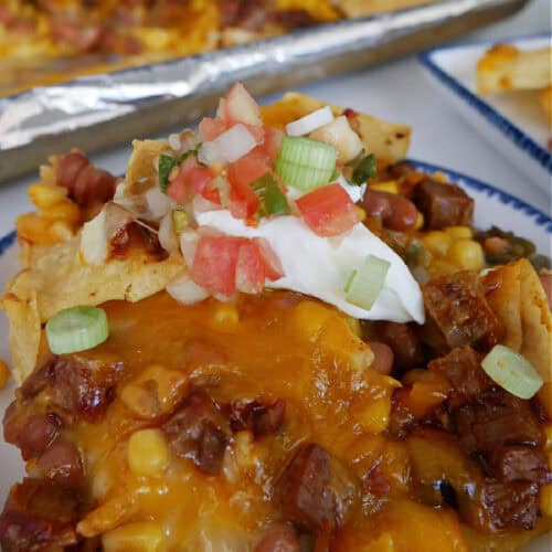 A round white bowl with blue trim with a hearty serving of beef brisket nachos in it.