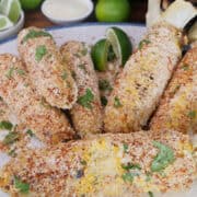 A white plate with blue trim with six elote grilled ears of corn.