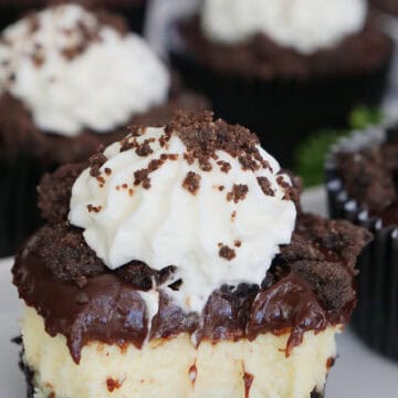 A white surface with mini chocolate crunch cheesecakes on it with a bite taken out of the one in front showing the different layers.