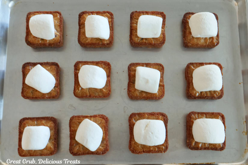 A baking sheet with the 12 blondies on it and a jumbo marshmallow on them that have been cut in half.