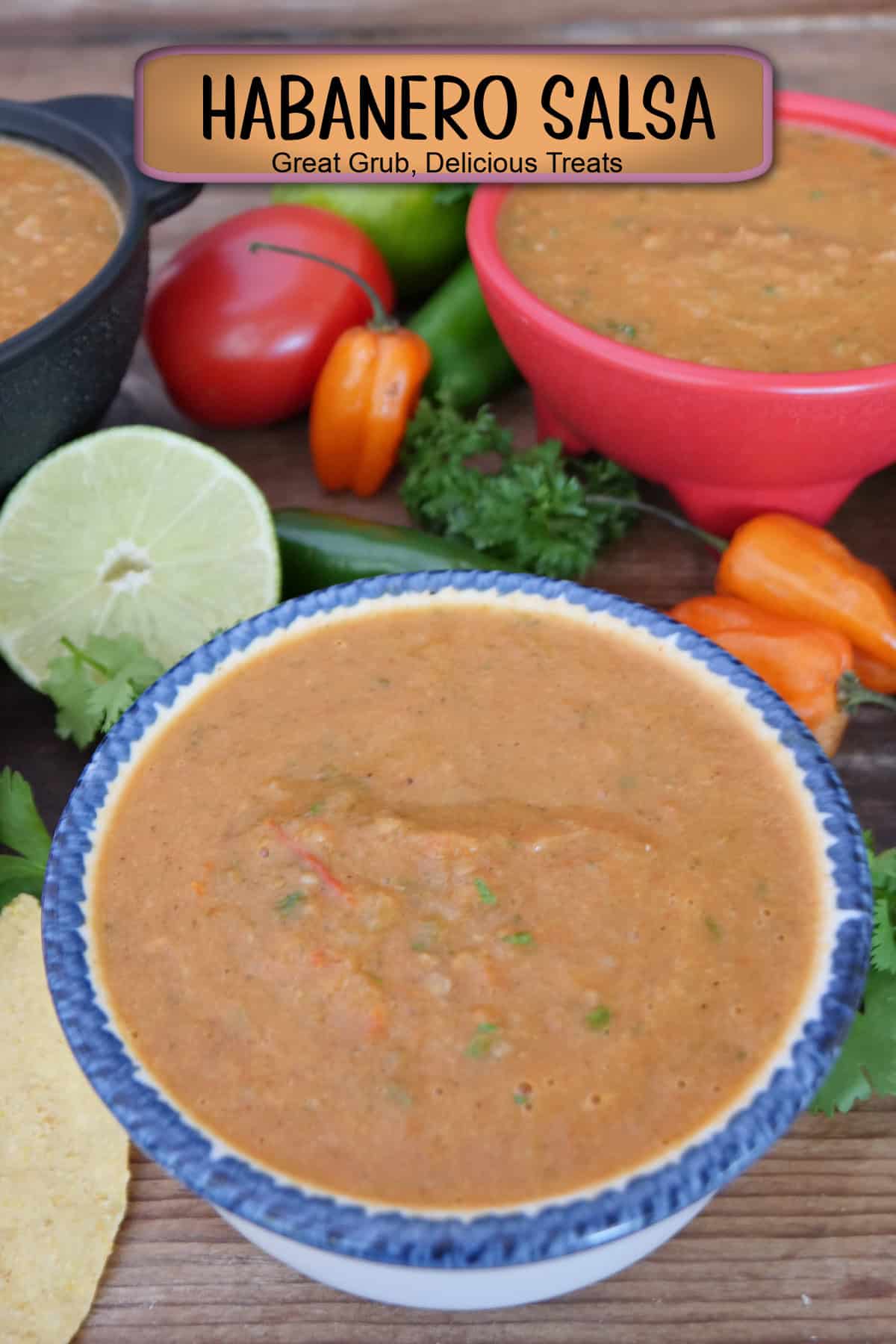 A white bowl with blue trim filled with homemade habanero salsa with a title overlay at the top.
