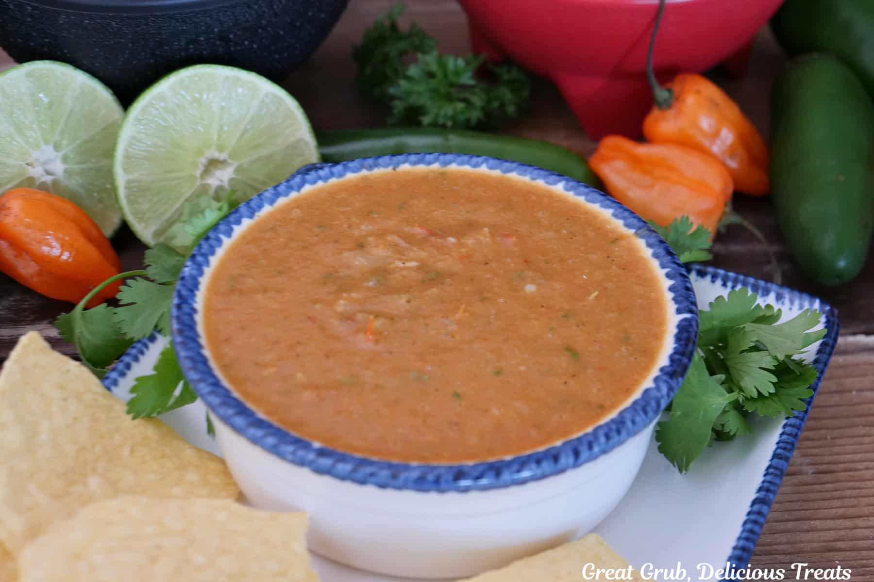 A round white bowl with blue trim filled with habanero salsa with veggies, peppers, and tortilla chips randomly placed around the bowl.