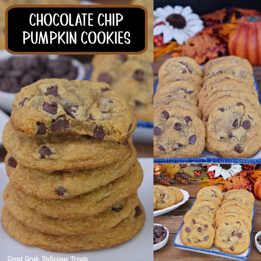 A three panel image collage of chocolate chip pumpkin cookies and a title overlay at the top.