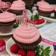 White plates with chocolate cupcakes with raspberry frosting on top with Dr. Rourke's Real Talk, Real Hope book in the background.