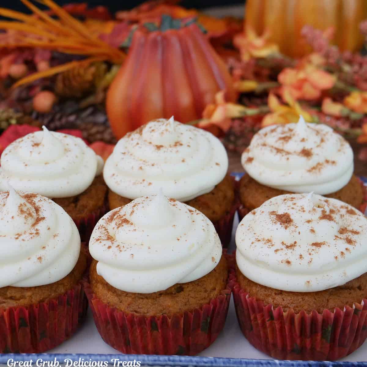 Six pumpkin cupcakes with maple frosting on a white plate with fall foliage in the background.