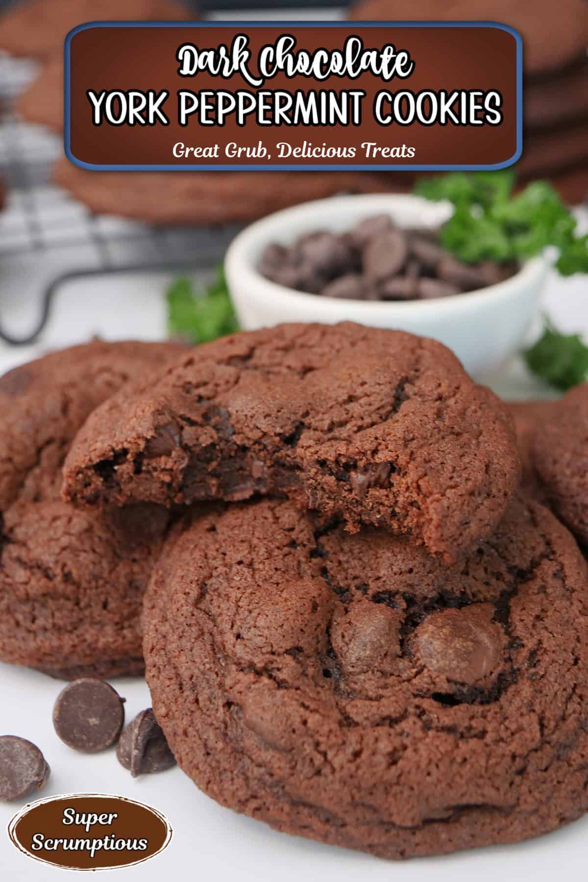 A white surface with dark chocolate cookies placed on it with a title overlay at the top.